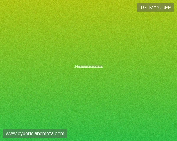 24号储藏室：藏匿时间，拾起遗忘的宝藏